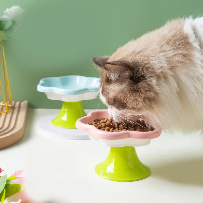Ceramic Flower Cat Bowl – Pretty, Practical, and Kind to Necks